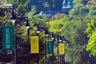 University banners on North Street near campus