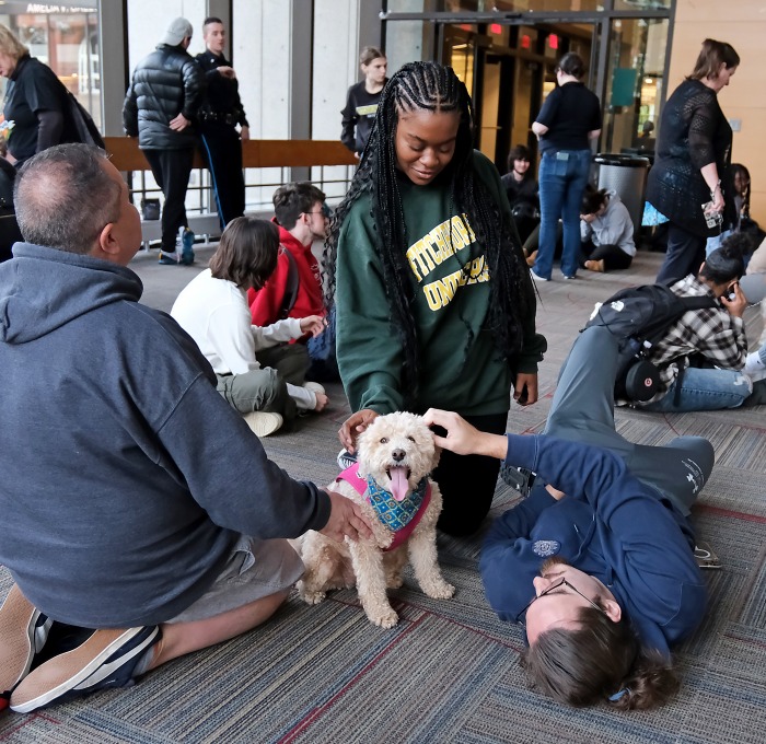 Students playing with therapy dogs on floor in main lounge