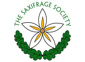 Cropped version of Saxifrage Society logo