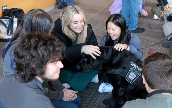Students sitting on floor petting therapy dogs