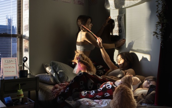 Children playing on bed with cat