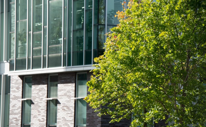 some bushes next to the campus science building 