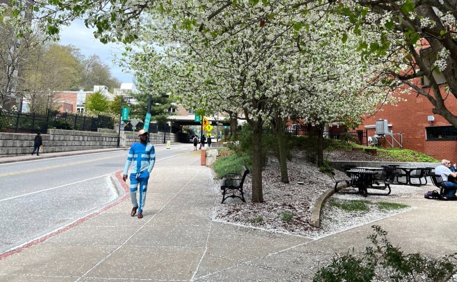 Student walking on campus near Hammond with white flowering tree overhead.