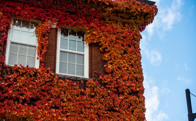 Photo of Edgerly Hall with red leaves on exterior walls