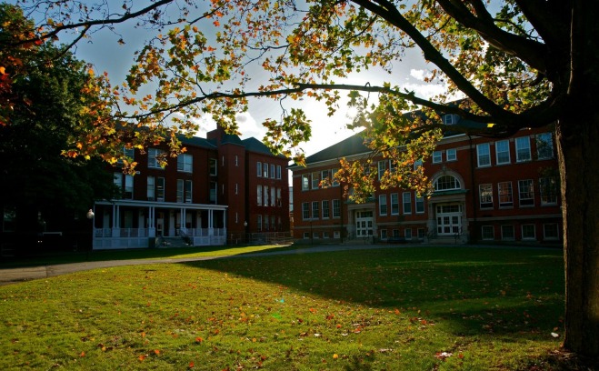 A shot of the quad through some trees