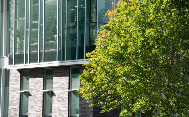 some bushes next to the campus science building 