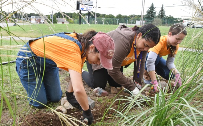 Students planting at day of caring at St. Bernards Elementary School