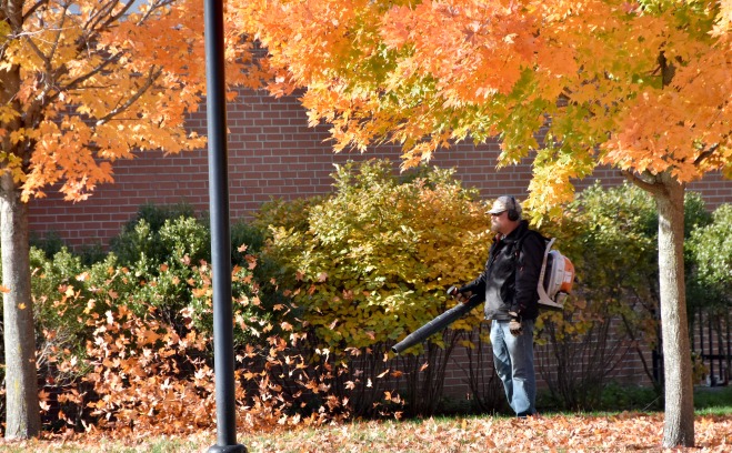 Maintainer blowing leaves on quad