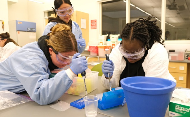 Students doing an experiment in genetics lab