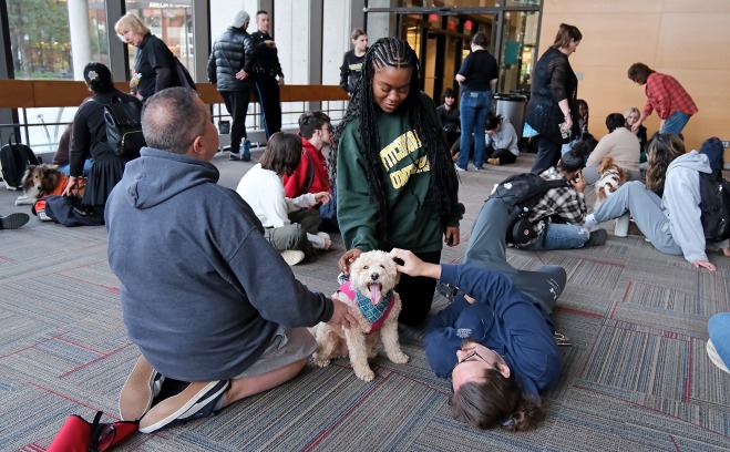 Students playing with therapy dogs on floor in main lounge