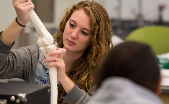 Biology students studying a skeleton