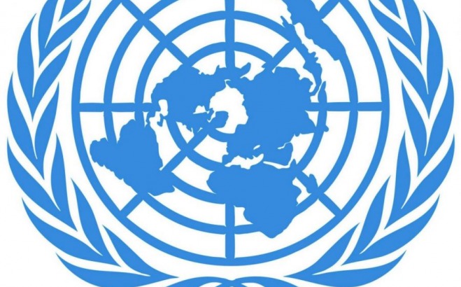 Model UN logo