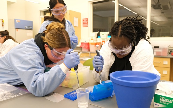Students doing an experiment in genetics lab