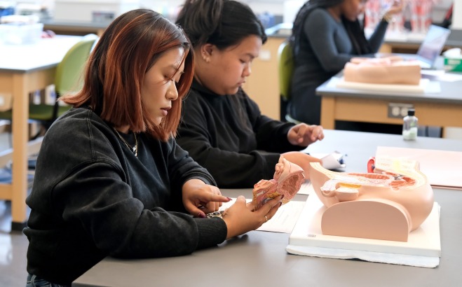 Students working in lab on body models