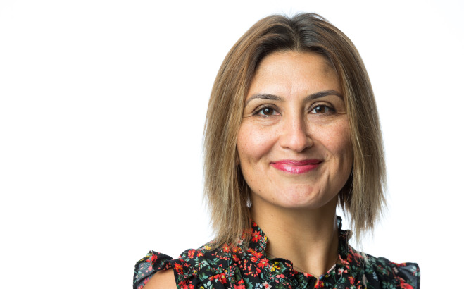 Nermin Bayazit, Ph.D., Mathematics