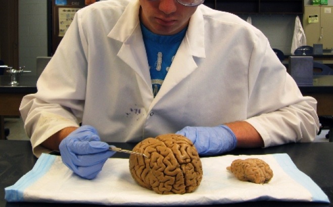 Nick Gulbrandsen working in a laboratory