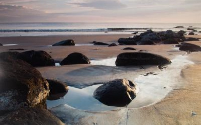 Beach landscape