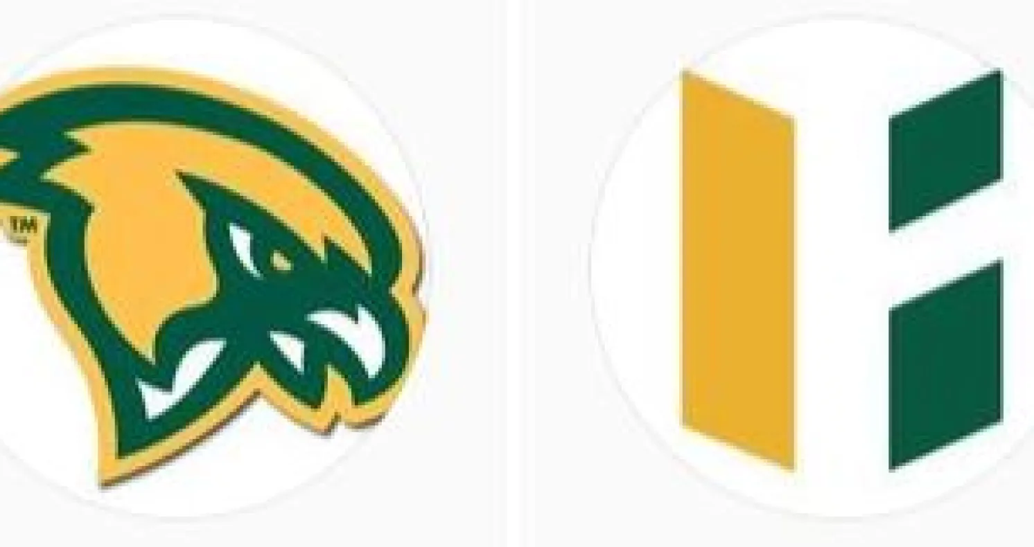 Falcon head and shield logos