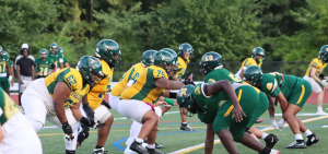 Football players getting ready for a play.