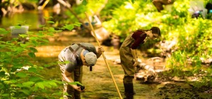 macroinvertebrates, student sampling