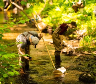 macroinvertebrates, student sampling