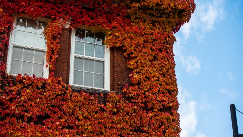 Photo of Edgerly Hall with red leaves on exterior walls
