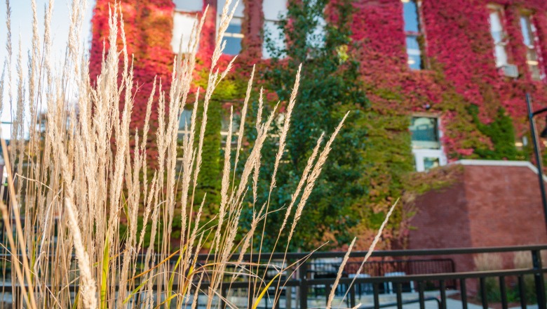 a photograph of Thompson Hall