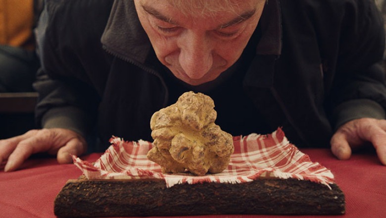 Image from Truffle Hunters for CIC film series