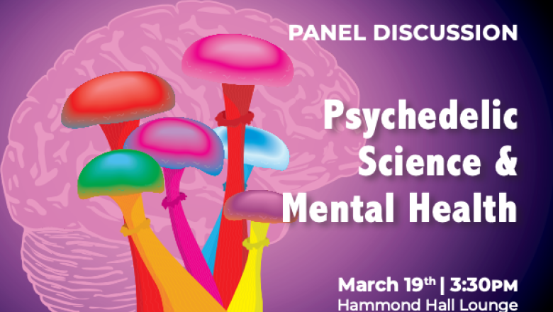 Thumbnail of psychedelic science panel talk