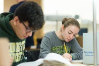 Students work in the library archive