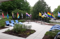 LGTBQ Pride Flags for news