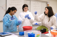 Students in genetics lab January 2024