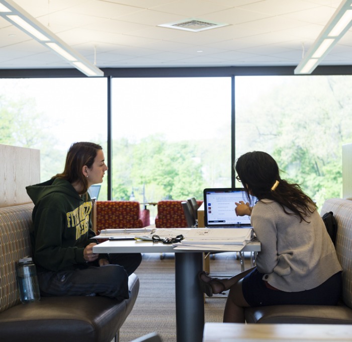 students sitting in the library looking at a laptop