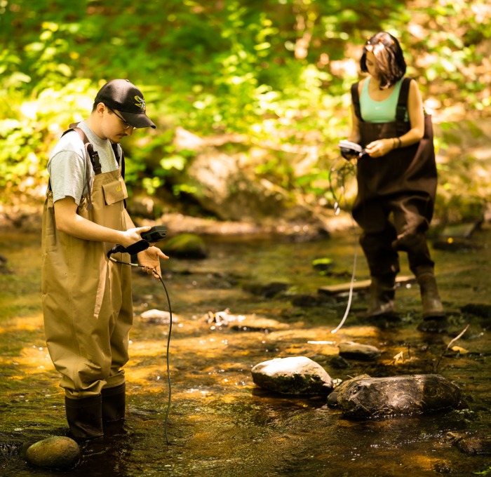 students analyzing water in a river