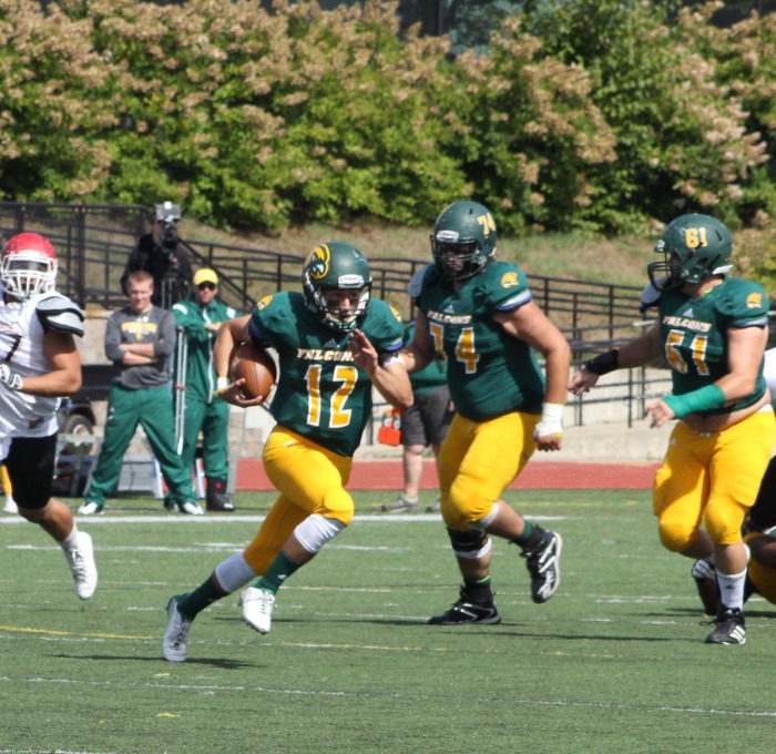 Football player running the ball