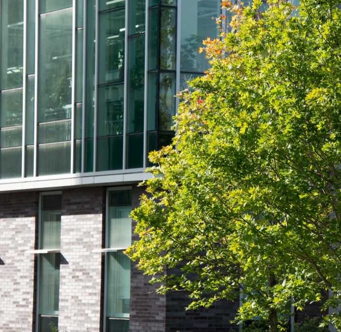 some bushes next to the campus science building 