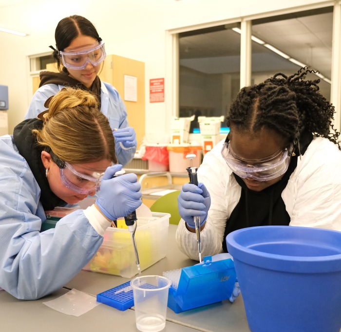 Students doing an experiment in genetics lab