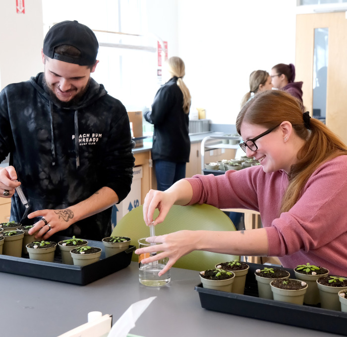 Students working with plants in lab.