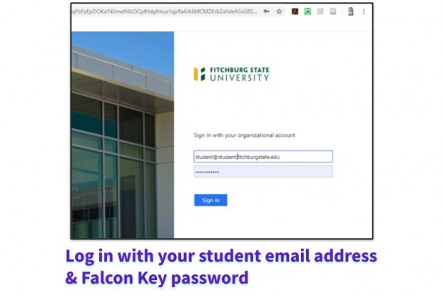 Log in with your student ID and Falcon Key password. 
