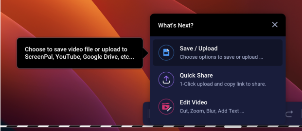 Choose to save/upload or delete your recording. 