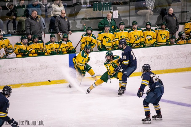 Action shot from hockey game at Civic Center
