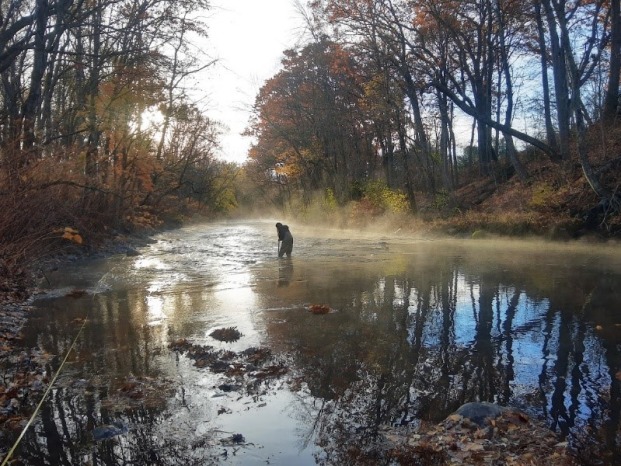 Kalli Brassard in the North Nashua River collecting aquatic organisms living in the water