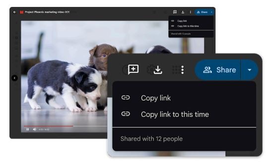 Screenshot of sharing video in google meet menu and puppies