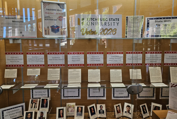 Library voting display. 