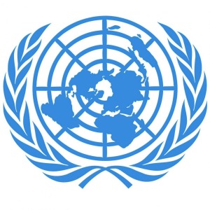 Model UN logo