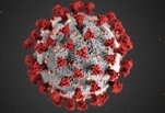 Closeup coronavirus photo