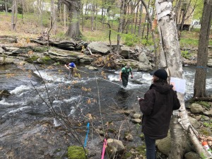 Students measuring a stream cross section