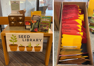 Left image: Display table against a window with a banner stating Seed Library with illustration of potted plants. On the table is an assortment of books and a small wooden library card catalog. Right image is of an open drawer with small manila  envelopes