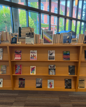 A wooden bookshelf displaying various books on disability rights and related topics