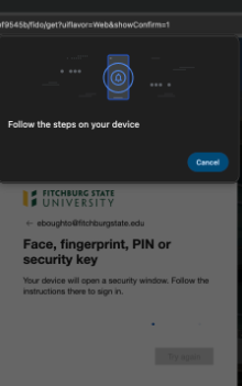 Screenshot of prompt to confirm passkey.